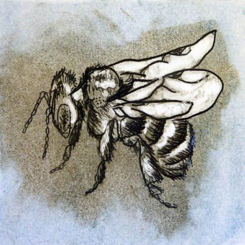 Drypoint print of bee