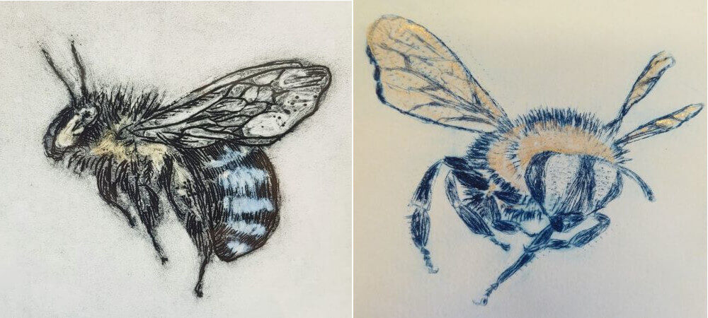 2 Drypoint bees