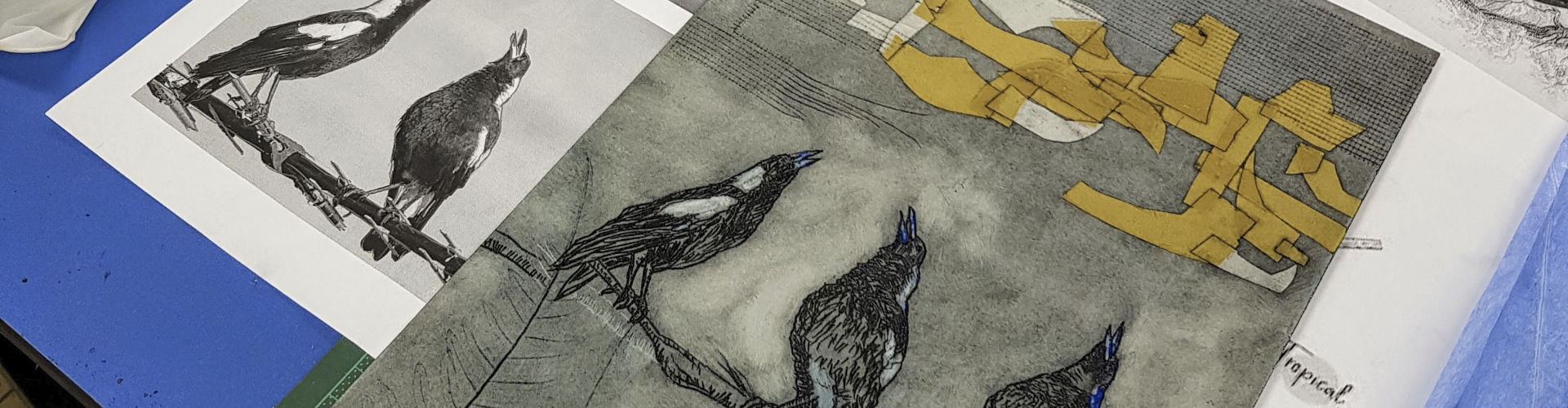 Magpie drypoint plate
