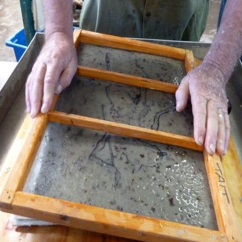 Mould and Deckle with plant fibre for papermaking