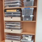 Natural History specimens sorted, boxed up and labelled, ready for drawing