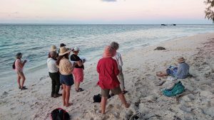 Tour members on the beach at sunrise sketching a female Green Turtle returning to the sea after laying eggs