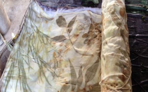 eco-dyeing